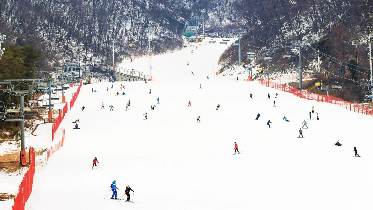 Jisan Forest Ski Resort Full-Day Tour from Seoul