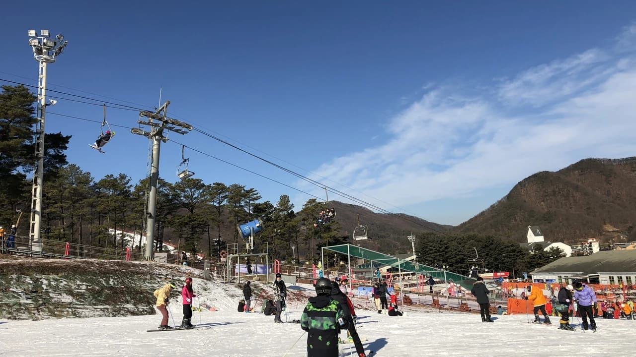 Jisan Forest Ski Resort Full-Day Tour from Seoul - image 7