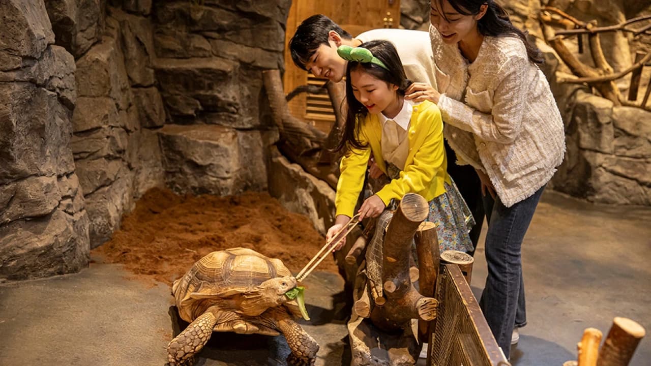 Zoolung Zoolung Indoor Animal Theme Park Ticket - Photo 2