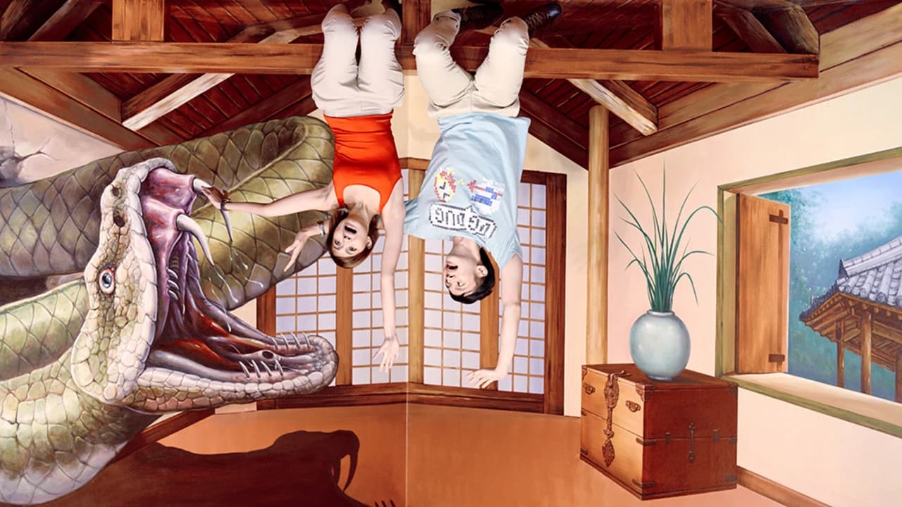 Seoul Trick Eye Museum