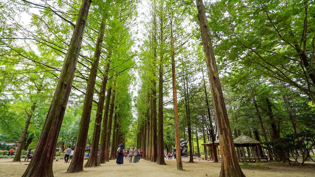 Nami Island, Petite France, and Italian Village Tour from Seoul - Photo 2