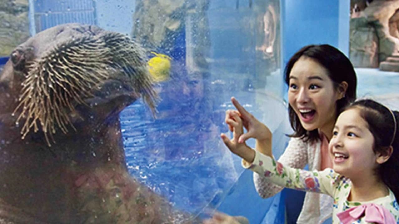 Aqua Planet Jeju Aquarium Ticket
