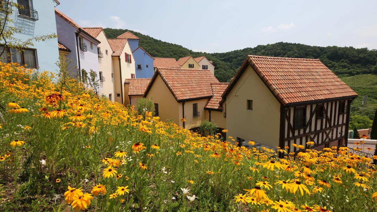 Nami Island, Petite France, and Italian Village Tour from Seoul - Photo 5