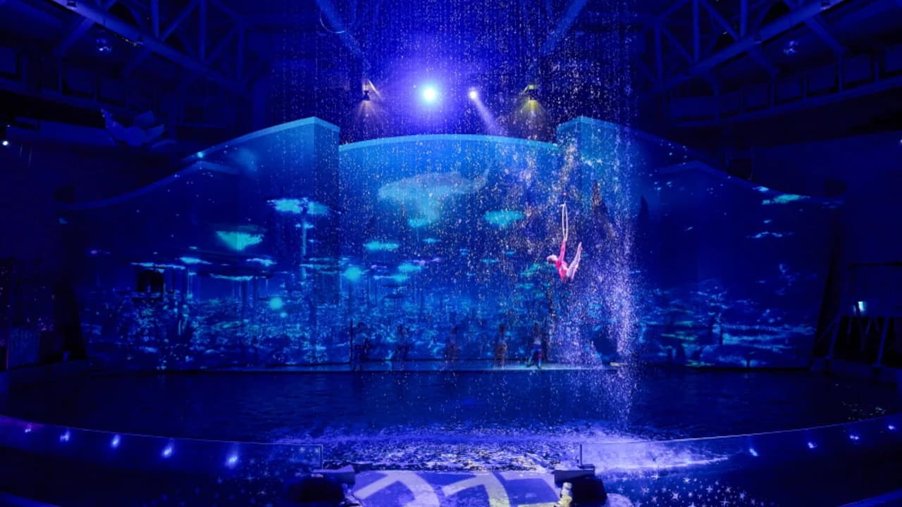 Aqua Planet Jeju Aquarium Ticket - Photo 5