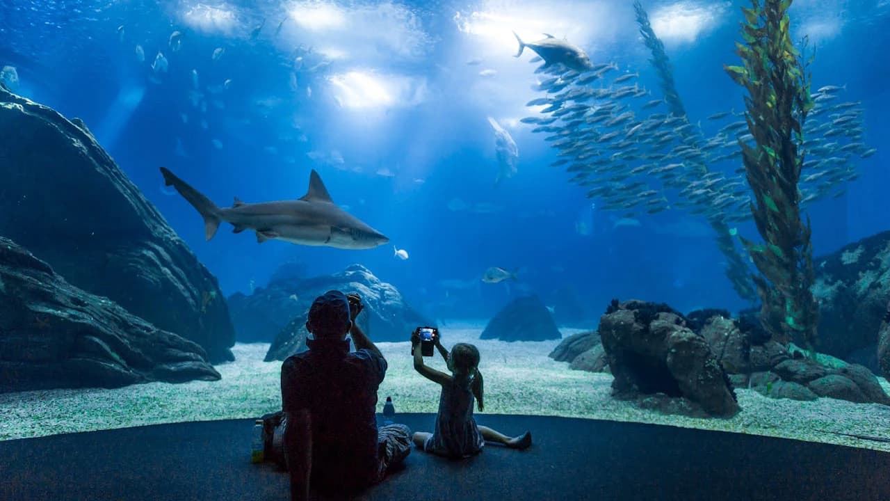 Oceanário de Lisboa Ticket
