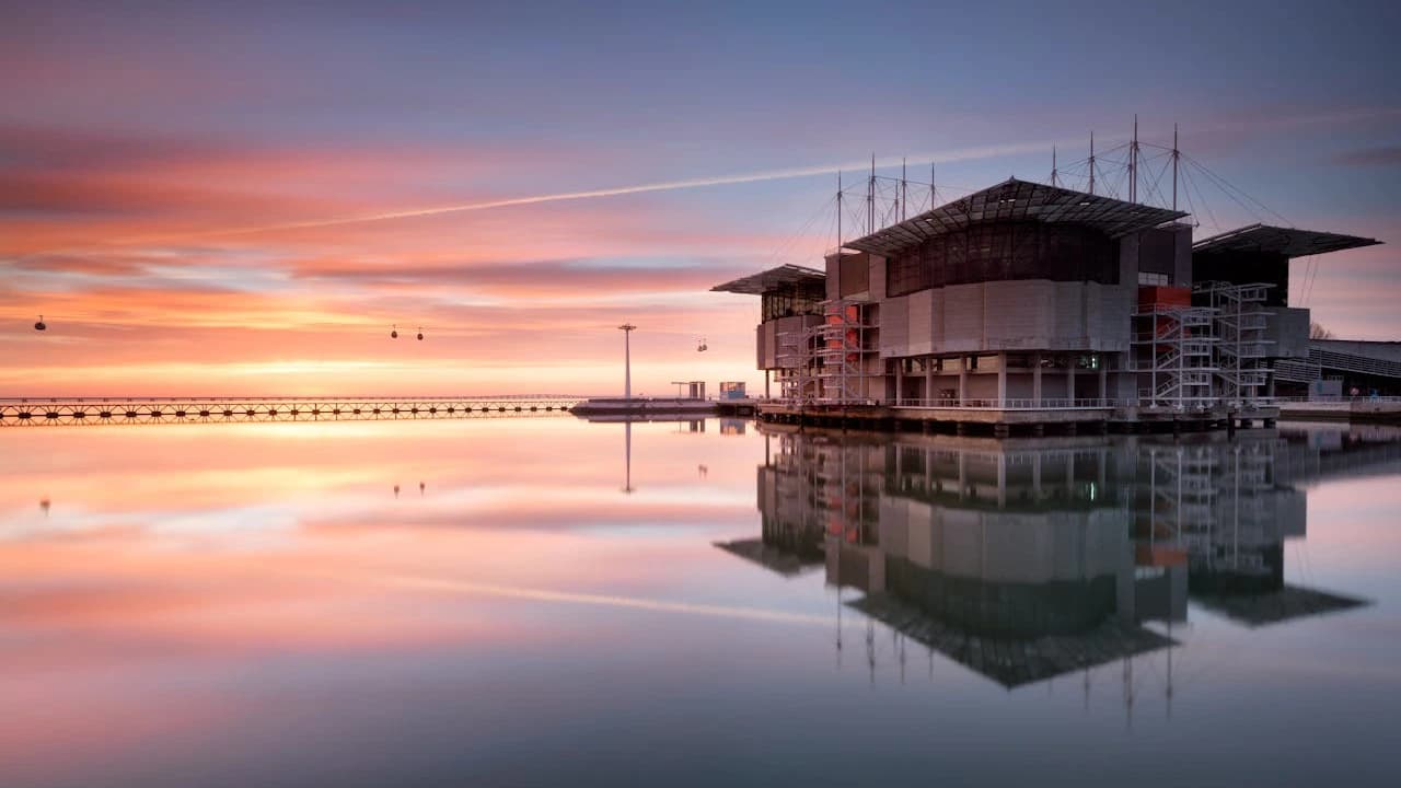 Oceanário de Lisboa Ticket - image 8