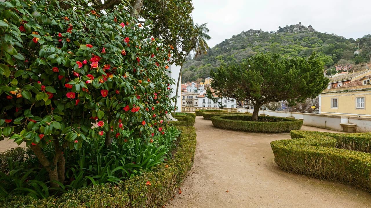 National Palace of Sintra Ticket - image 8