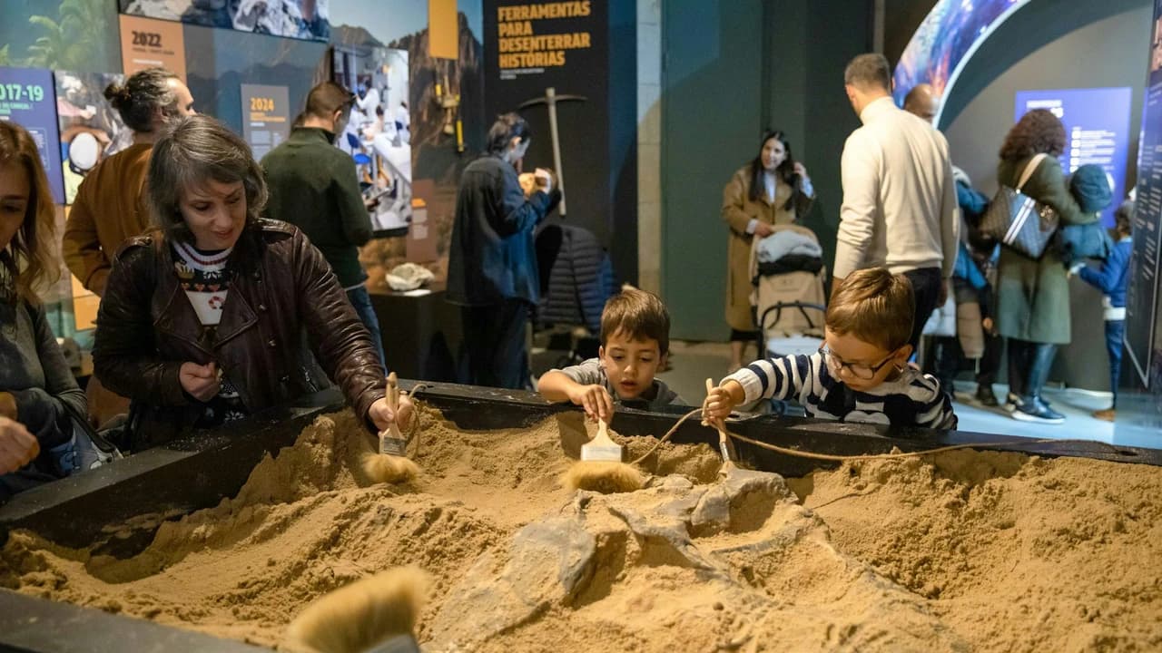 Dino Experience Porto Ticket - image 8