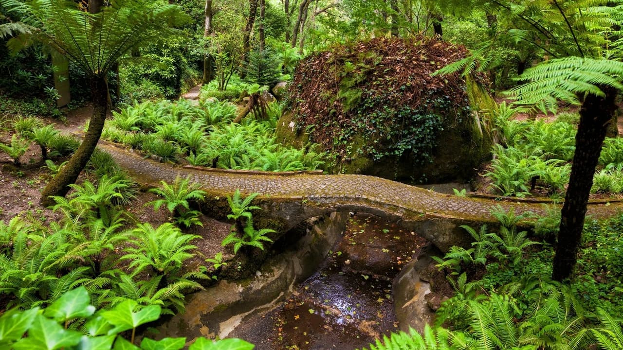 Pena Park in Sintra Ticket - Photo 3