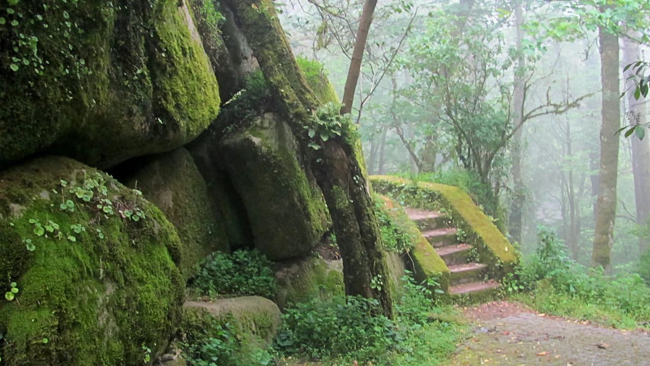 Pena Park in Sintra Ticket - Photo 4