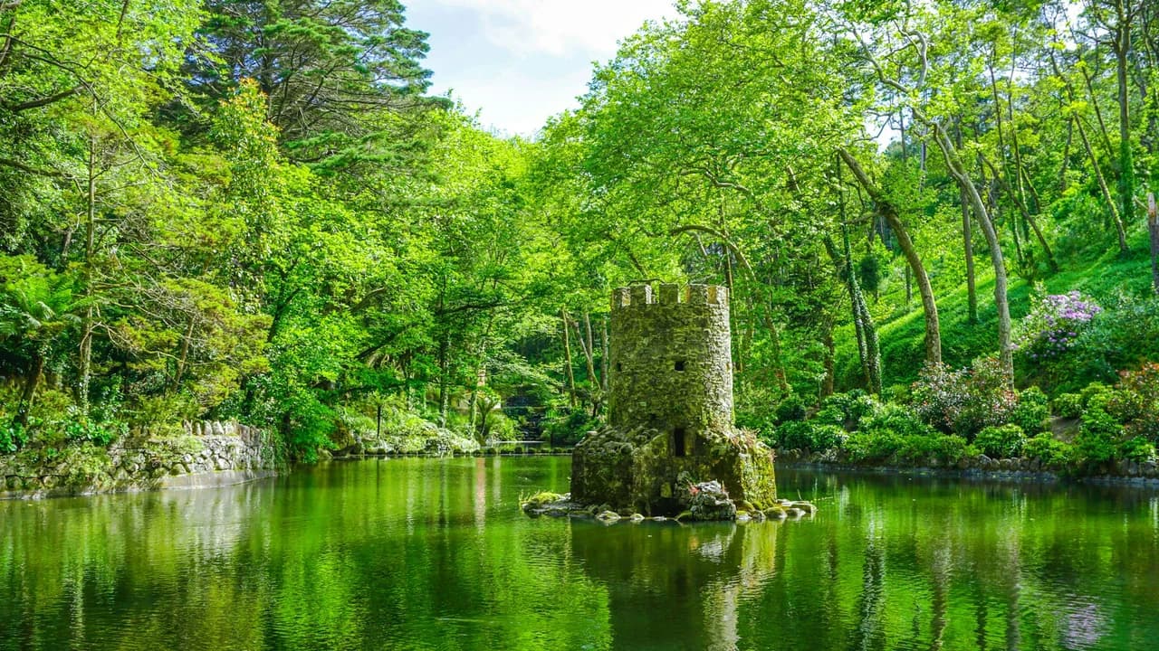 Pena Park in Sintra Ticket - image 8