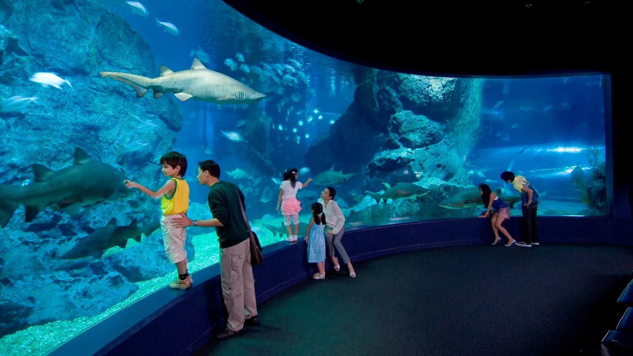 COMBO: SEA LIFE Bangkok Ocean World + Madame Tussauds Bangkok Tickets