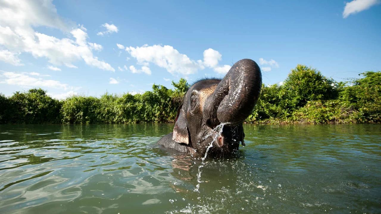 Elephant Jungle Sanctuary Chiang Mai - Photo 2
