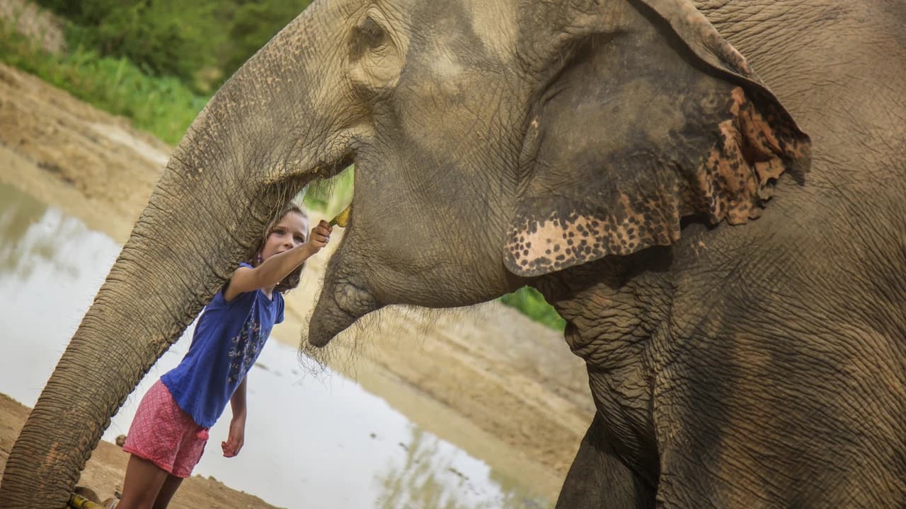 Elephant Jungle Sanctuary Pattaya - Photo 5