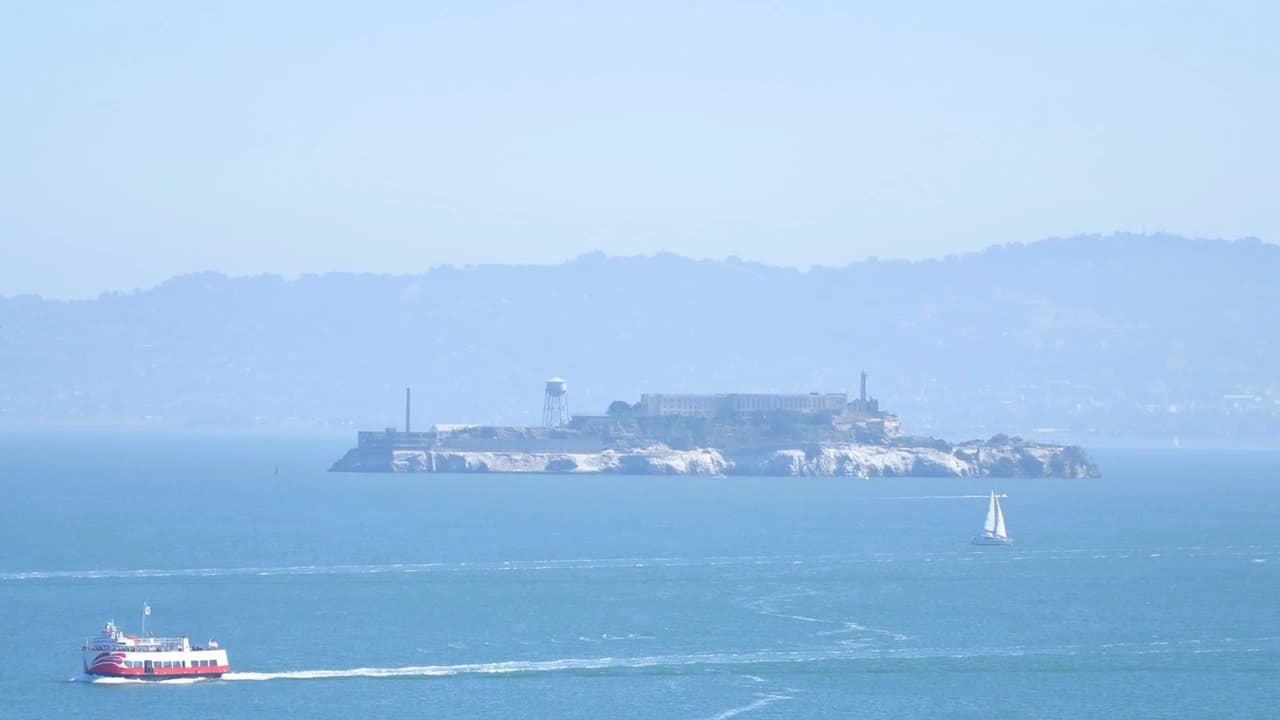 San Francisco Bay 1 Hour Golden Gate Sightseeing Boat Cruise by Red and White Fleet - image 8