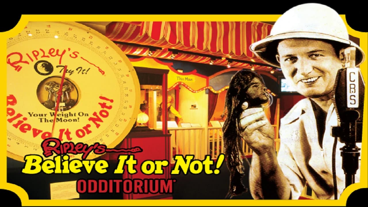 Ripley's Believe It or Not! Pattaya Ticket - Photo 2