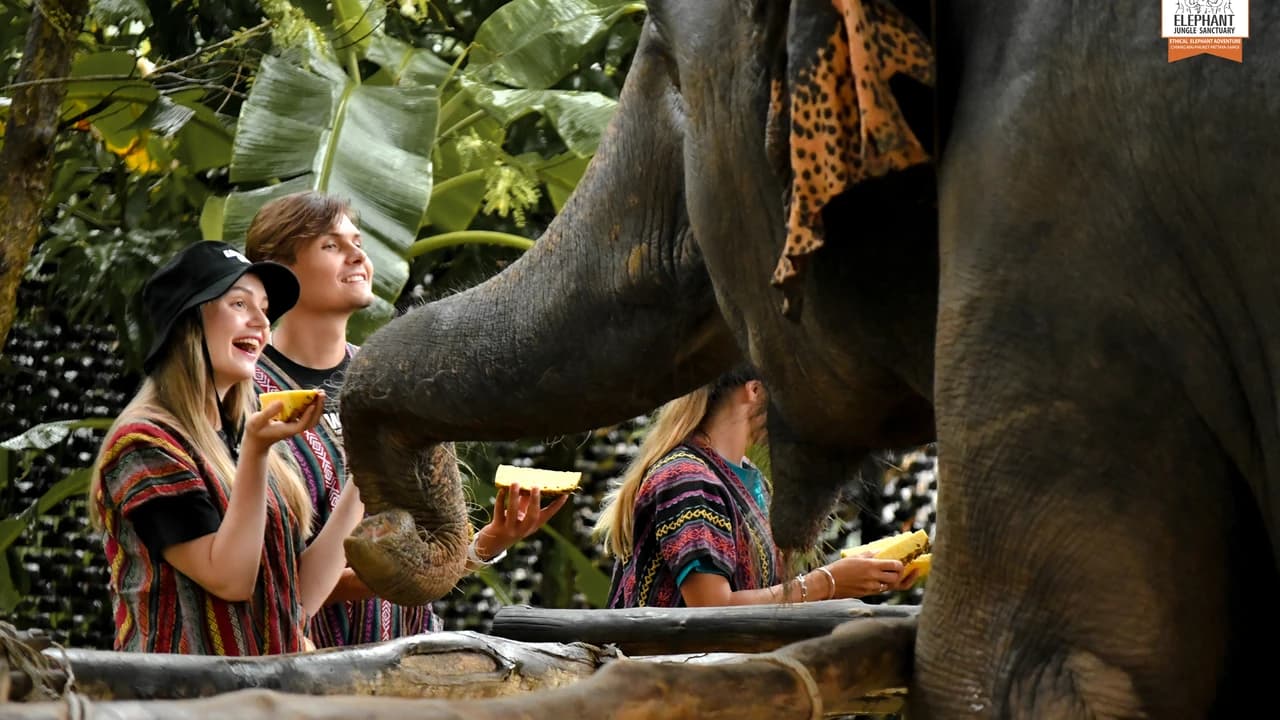 Elephant Jungle Sanctuary Phuket