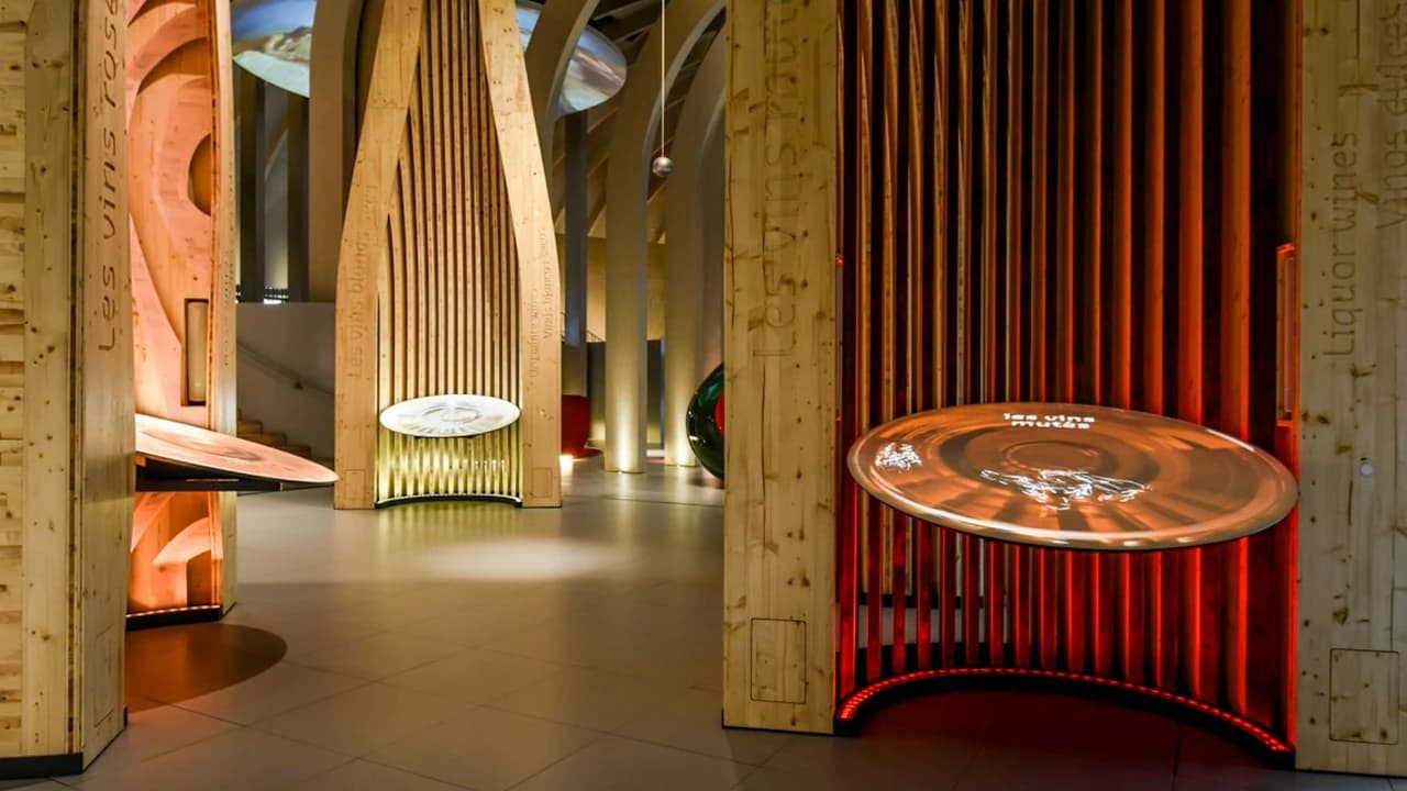 La Cite du Vin: Permanent Exhibition + Belvedere - image 6