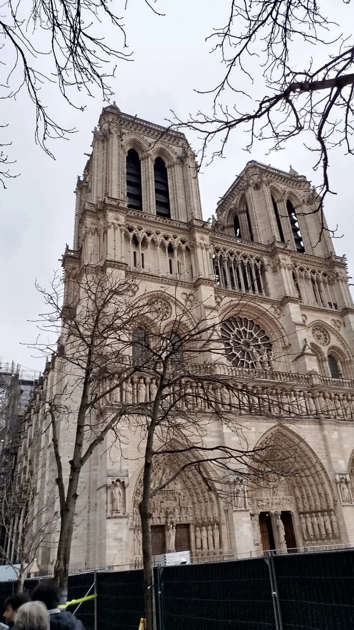 Notre Dame Cathedral Neighbourhood Guided Walking Tour - image 8