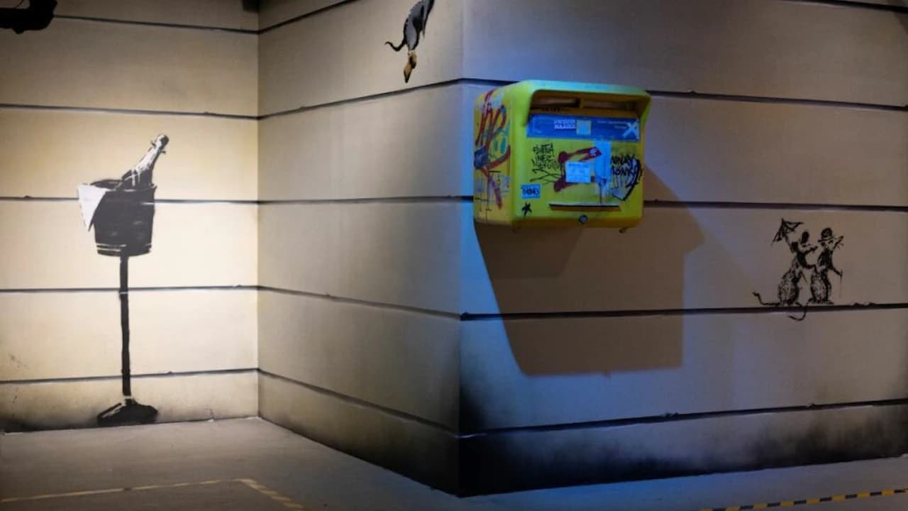 The World of Banksy: Exhibition Paris - image 6