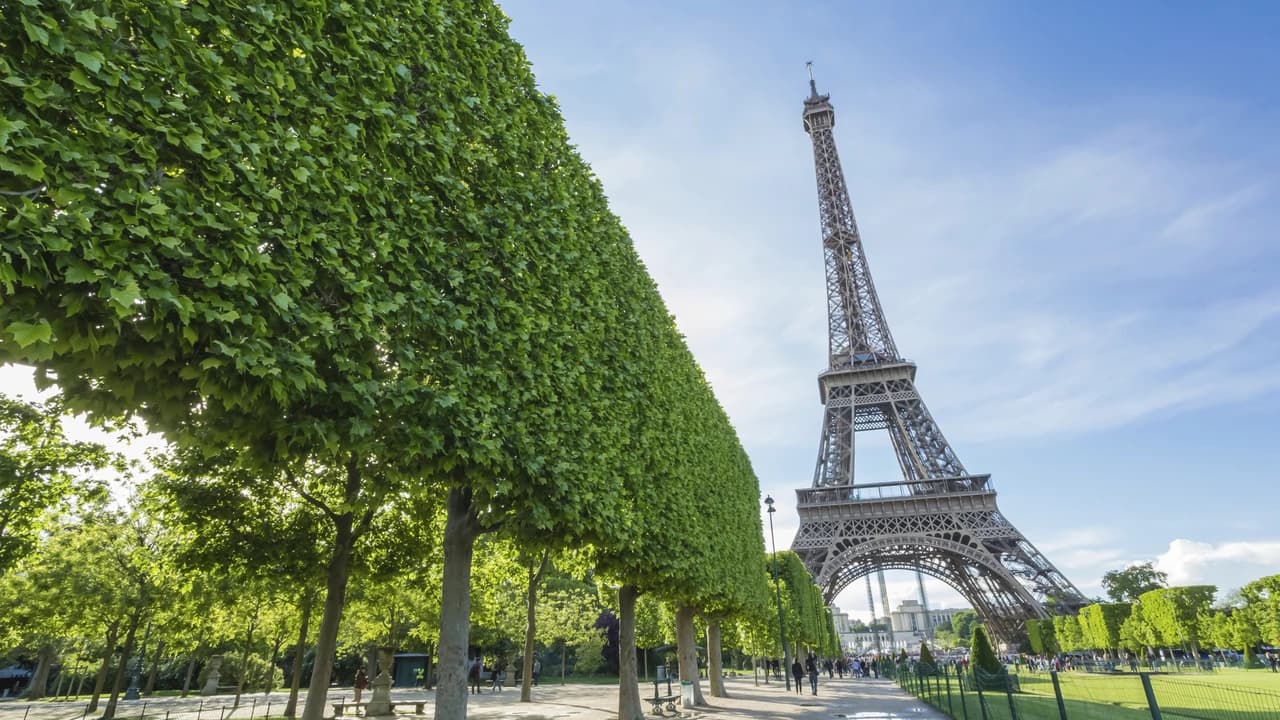 Paris Open-Top Bus Tour and Eiffel Tower Reserved Access