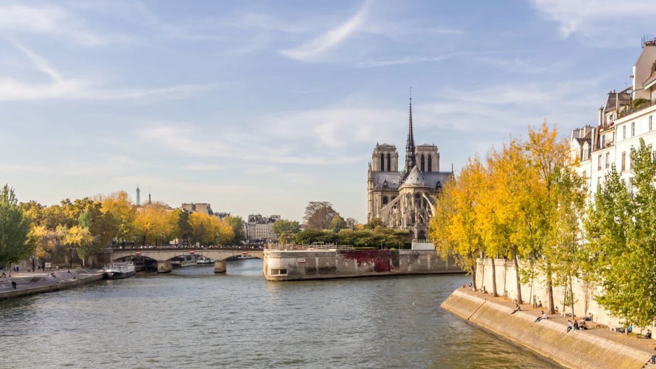 Paris Open-Top Bus Tour, Seine River Cruise, and Eiffel Tower Dining Experience - image 7