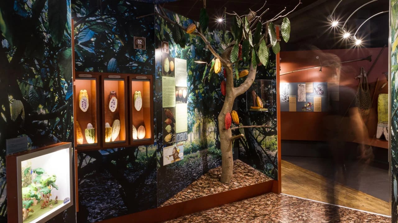 Chocolate Museum – Choco-Story Paris - Photo 5
