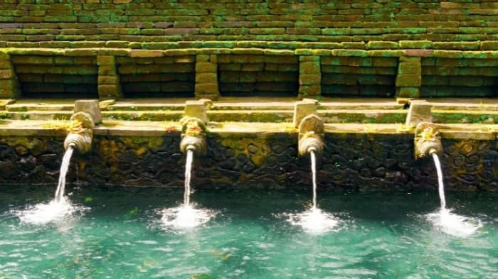 Purification Ritual In Tirta Empul Holy Water Temple and Ubud Tour - image 6