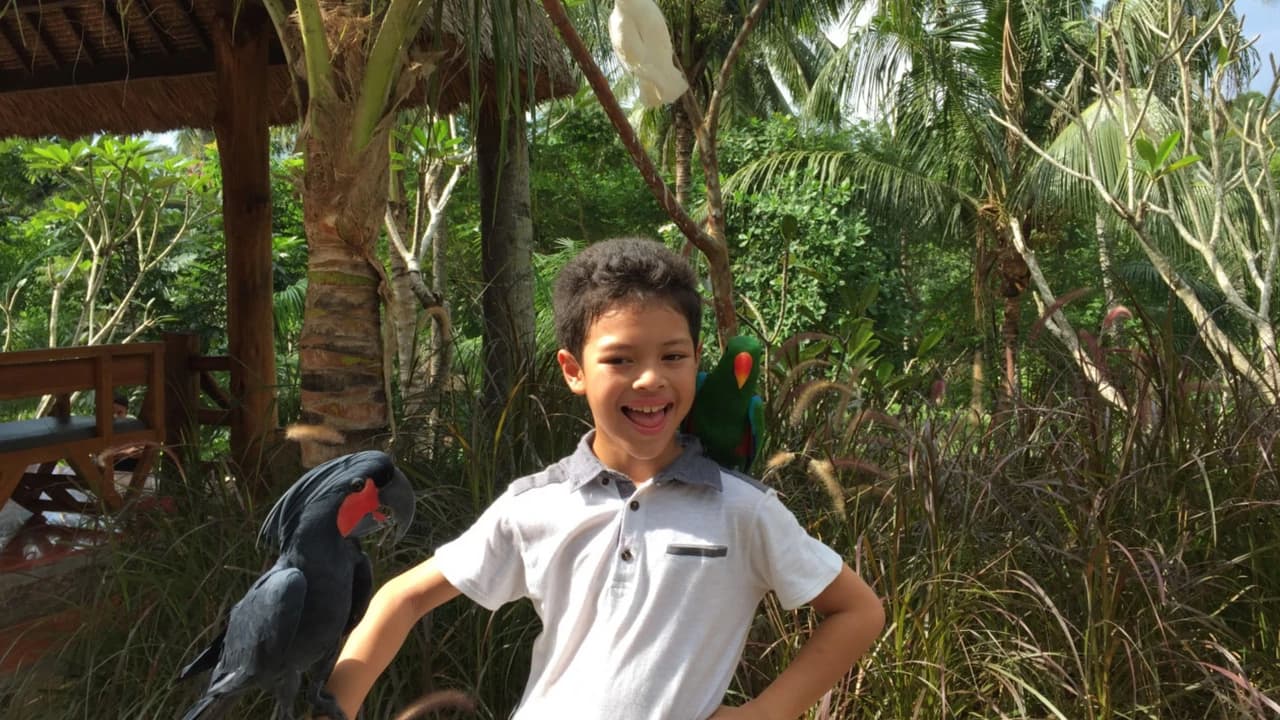 Lombok Wildlife Park: Intimate Wildlife Experience - image 6