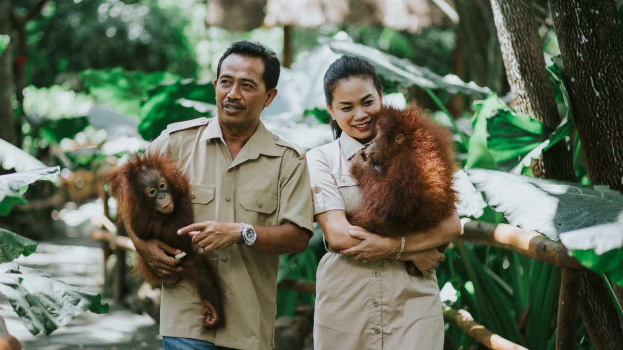 Lombok Wildlife Park Orangutan Interaction - Photo 3
