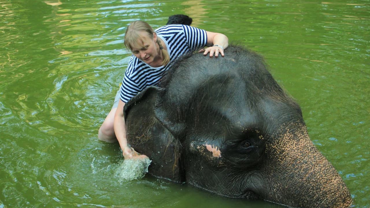 Lombok Wildlife Park Elephant Bath Experience