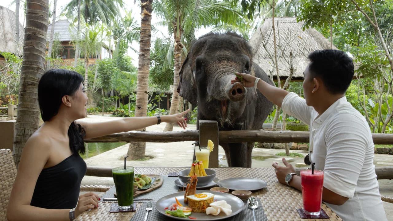 Lombok Wildlife Park Elephant Bath Experience - Photo 2