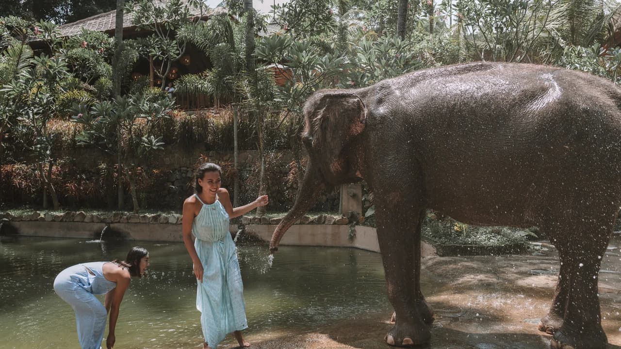 Lombok Wildlife Park Elephant Bath Experience - Photo 3