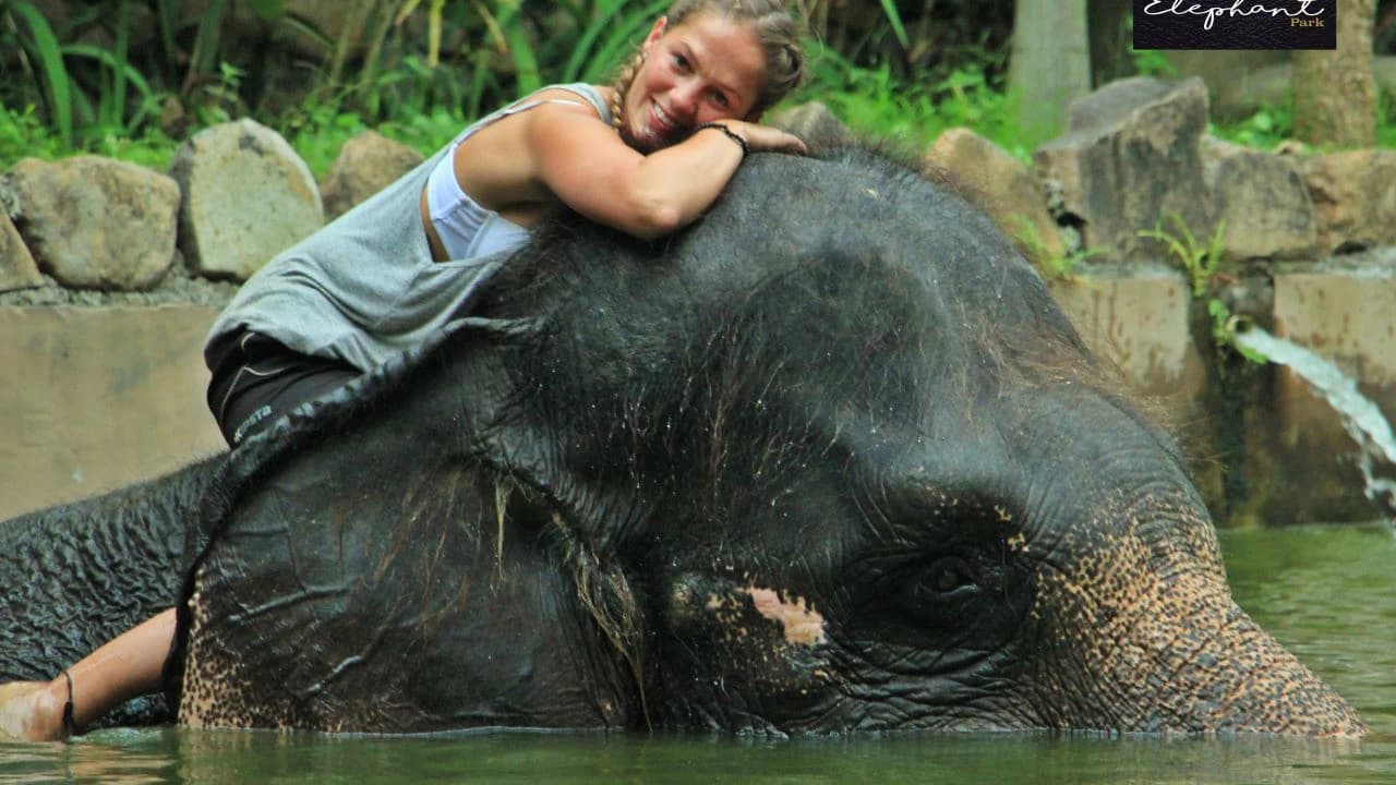 Lombok Wildlife Park Elephant Bath Experience - Photo 4