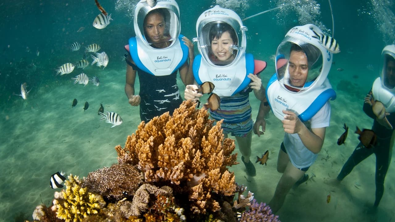 Nusa Lembongan Cruise by Bali Hai Cruises - image 6