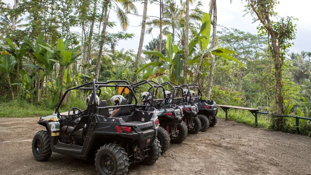 Bali's Thrilling Jungle Buggy Adventure by Mason Adventures - Photo 3