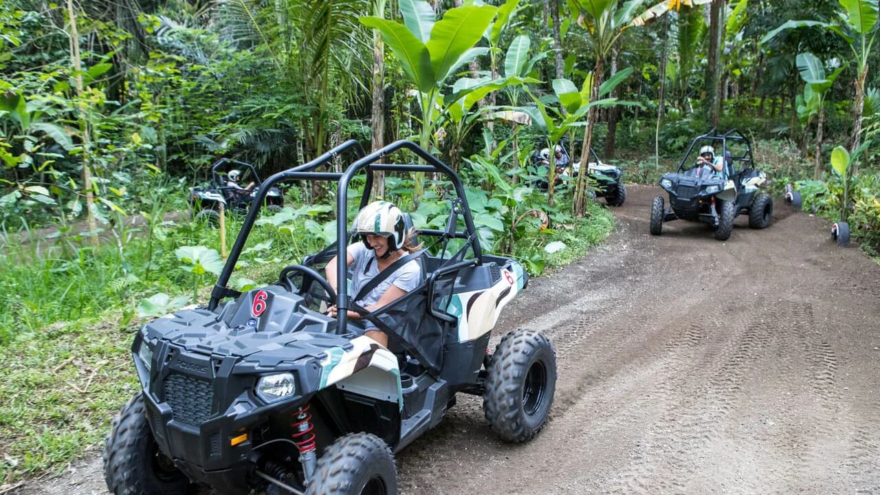 Bali's Thrilling Jungle Buggy Adventure by Mason Adventures - image 7