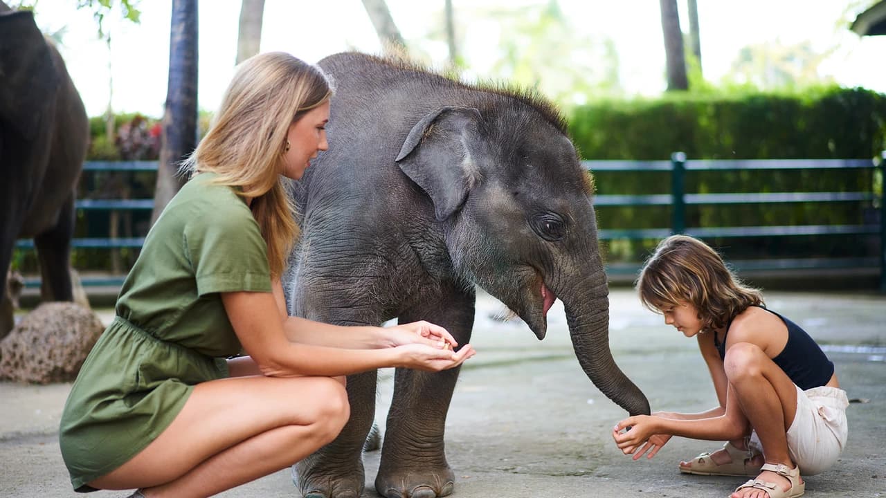 COMBO: Waterbom Bali + Mason Elephant Park Bali Tickets - image 6