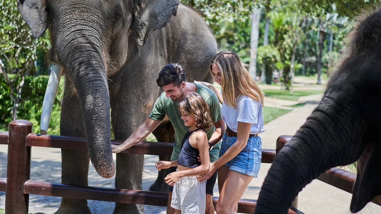 COMBO: Waterbom Bali + Mason Elephant Park Bali Tickets - image 7