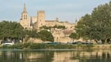 Avignon & Popes Palace Tour - image 6