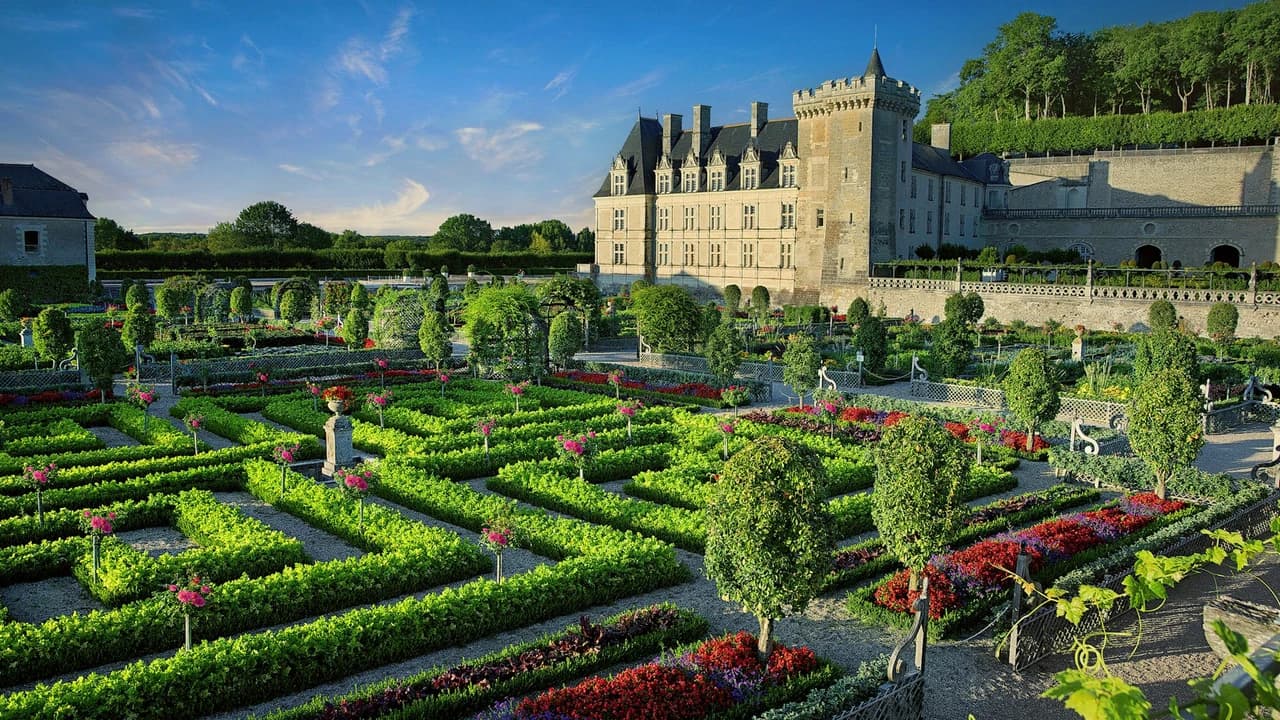 Château de Villandry Ticket - Photo 3