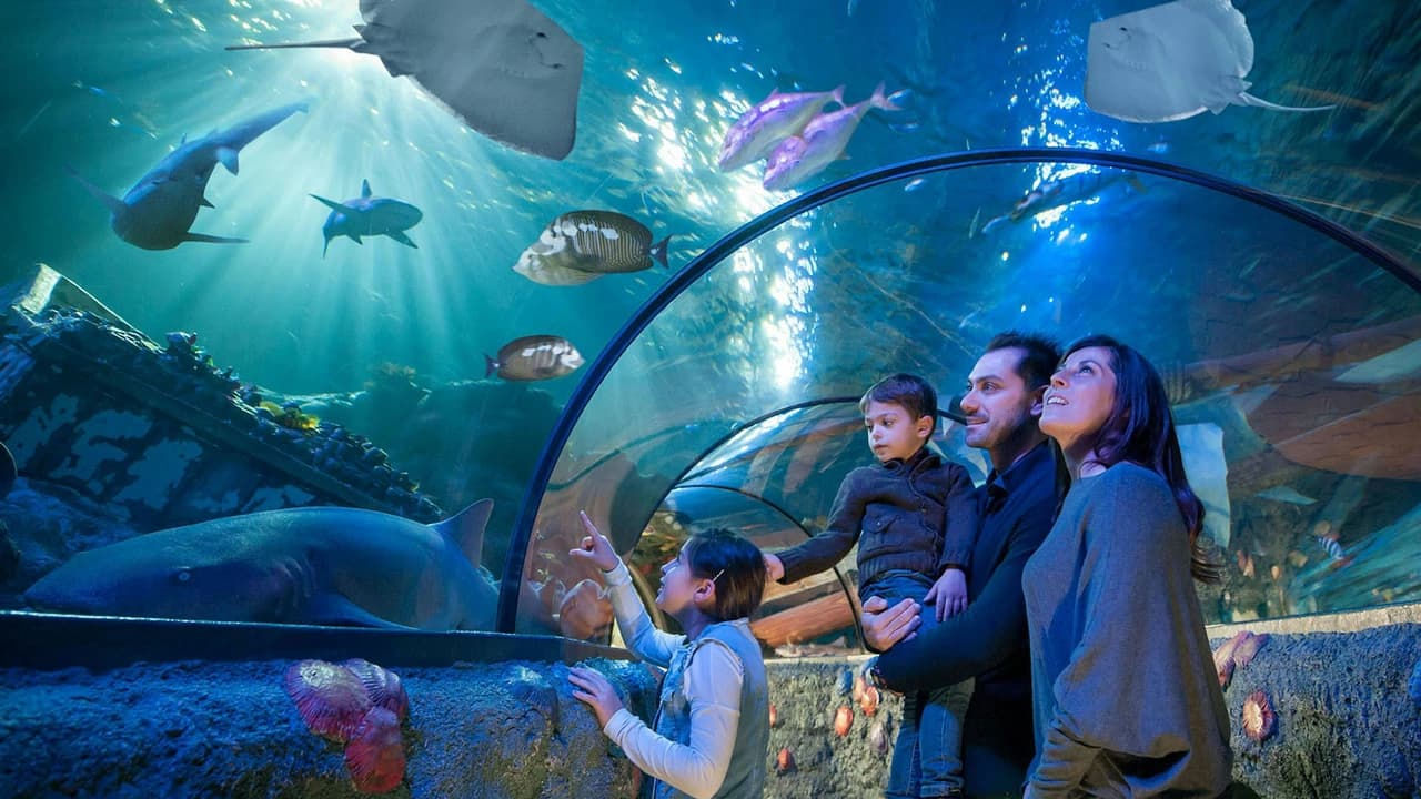 Gardaland SEA LIFE Aquarium Ticket