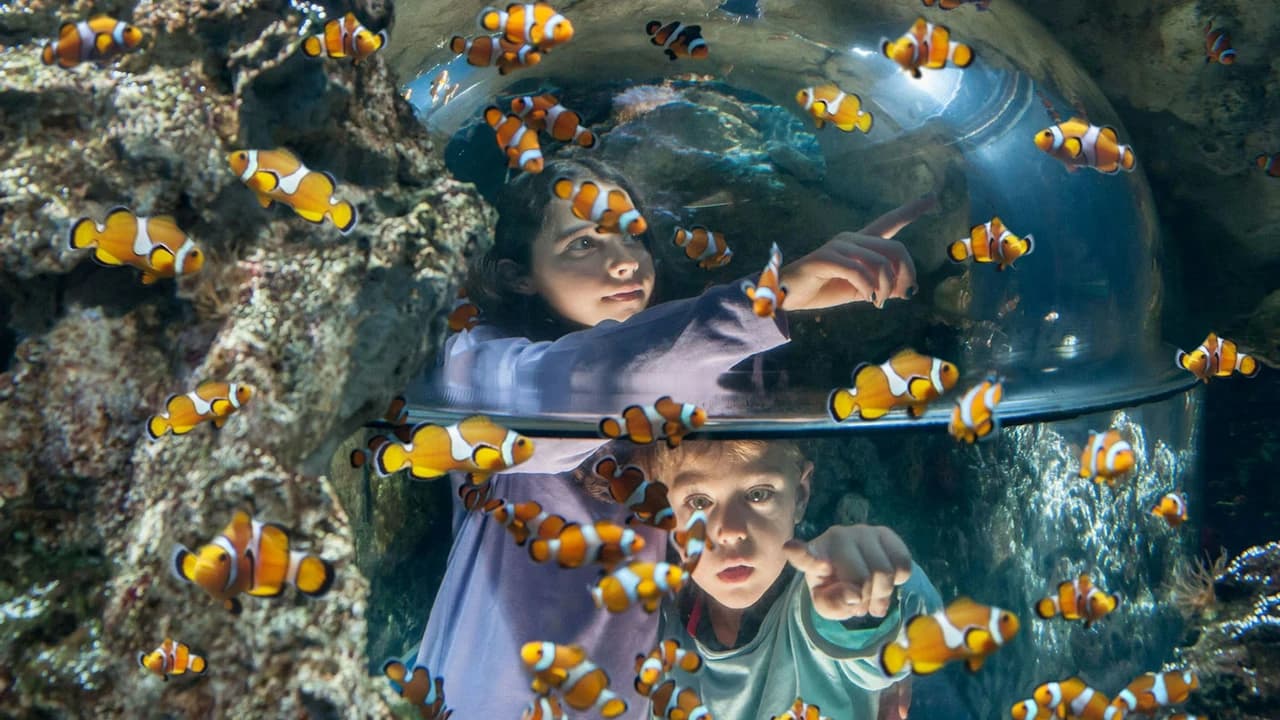 Gardaland SEA LIFE Aquarium Ticket - Photo 5