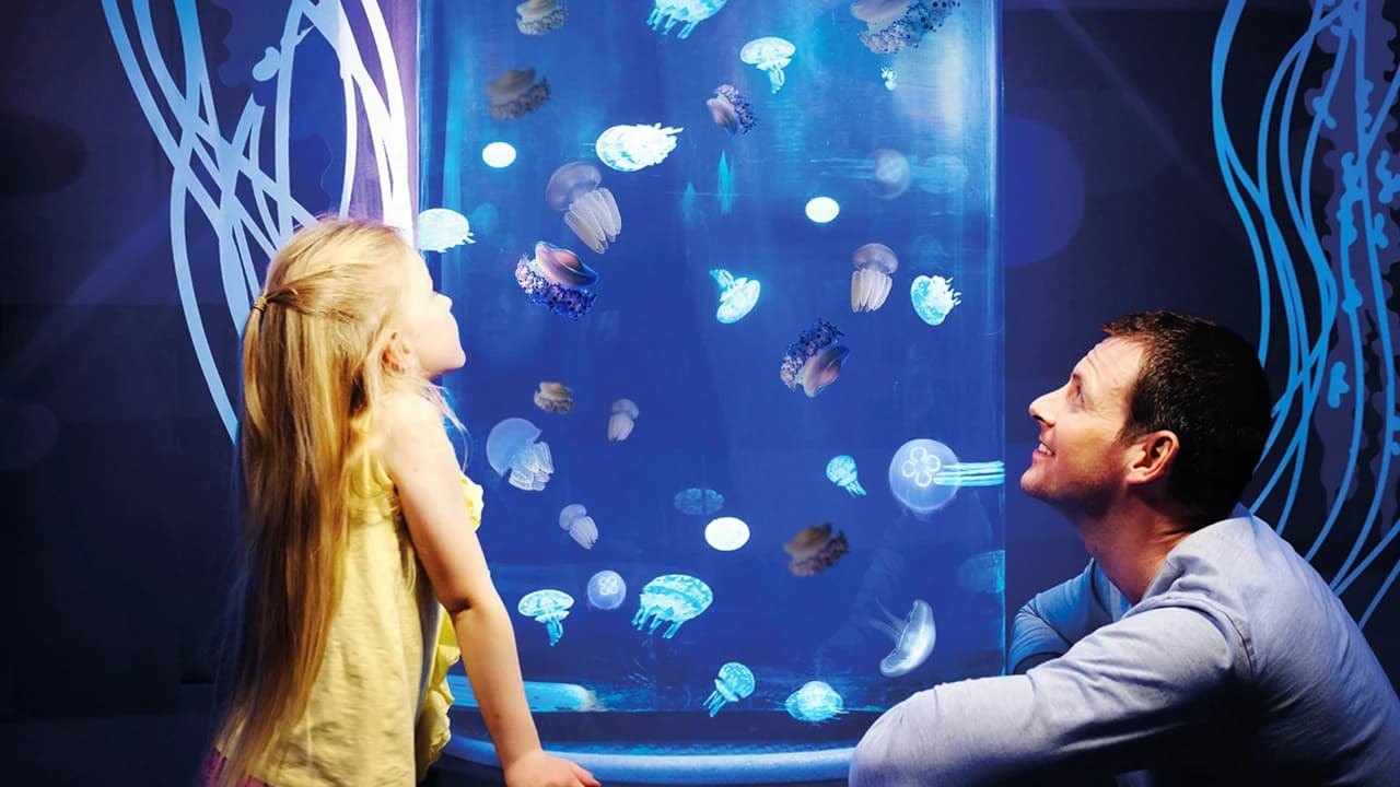 Gardaland SEA LIFE Aquarium Ticket - image 8