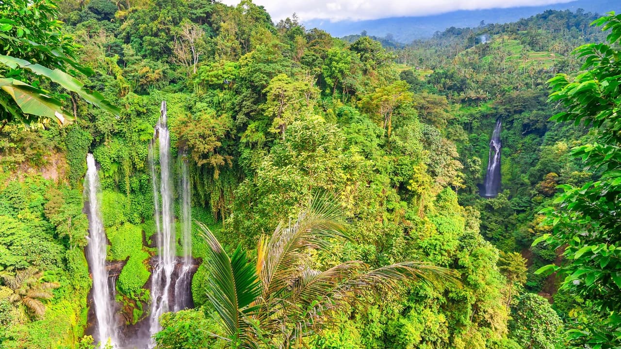 Bali Sekumpul Waterfalls & Pura Ulun Danu Bratan Private Day Tour