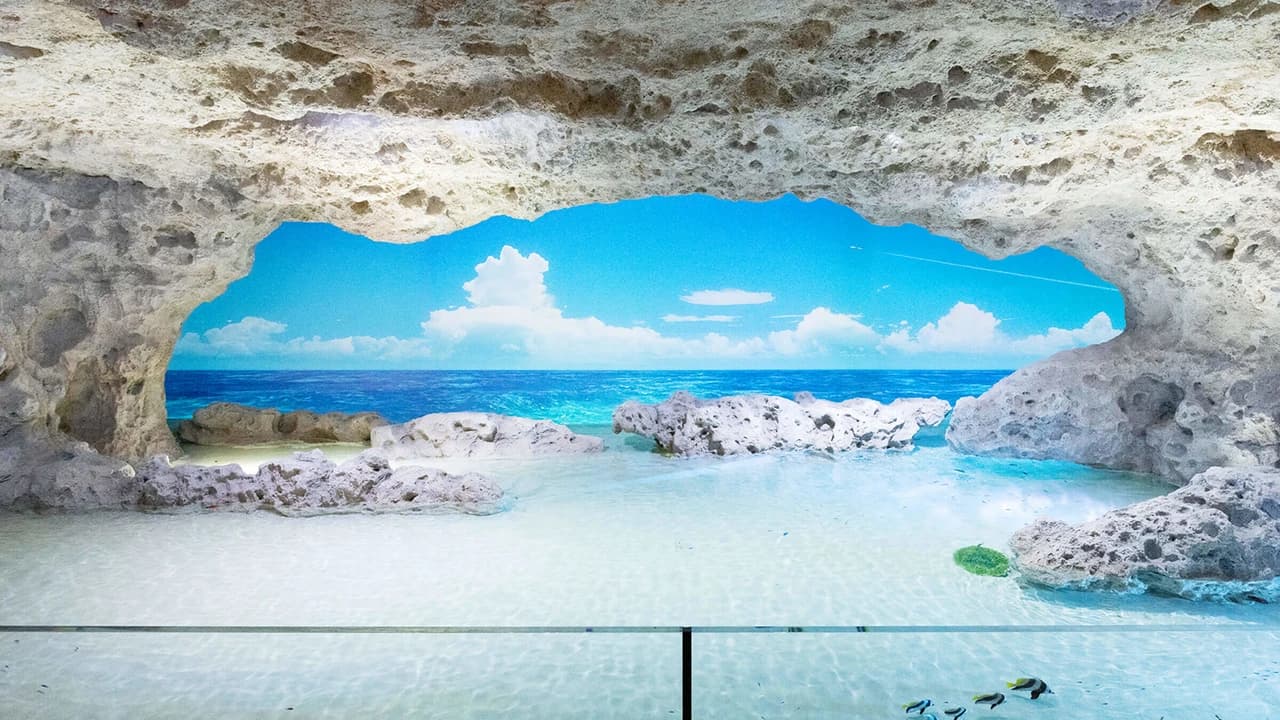 Okinawa DMM Kariyushi Aquarium