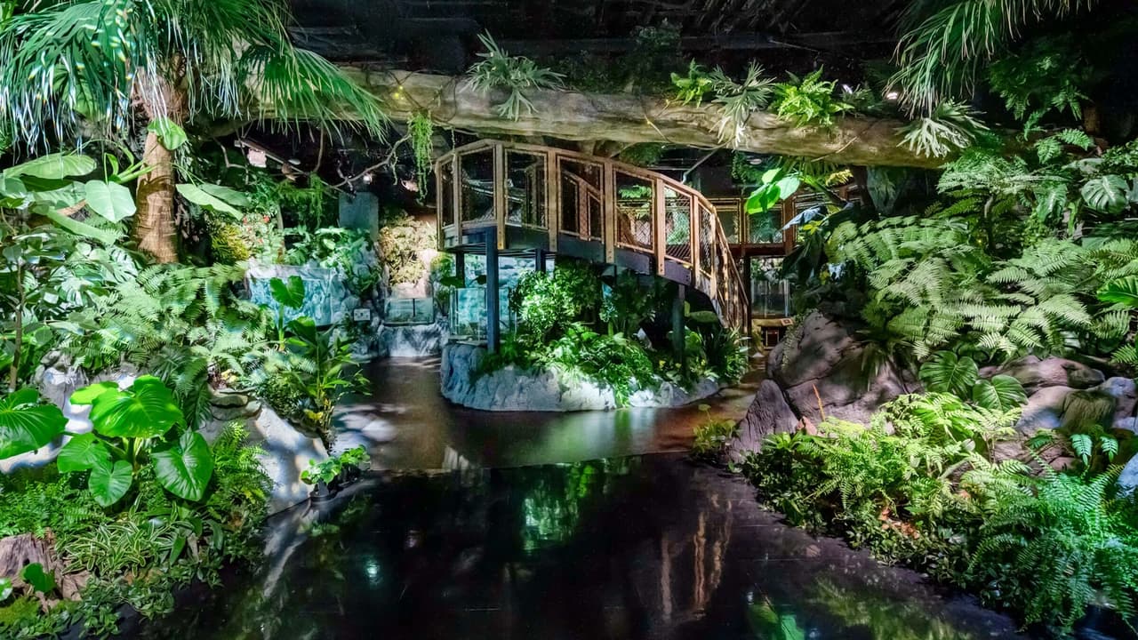 Okinawa DMM Kariyushi Aquarium - Photo 4