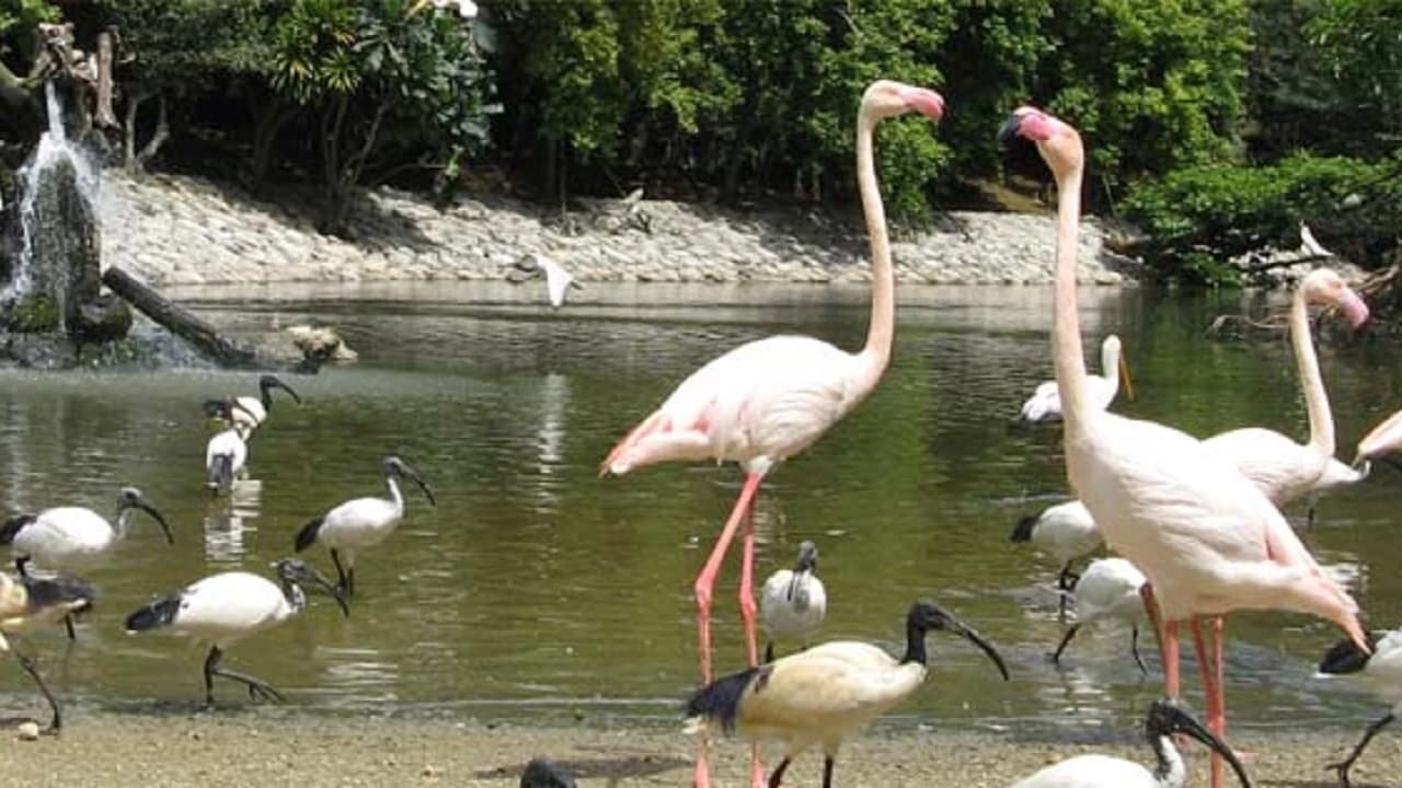 Neo Park Okinawa - image 8