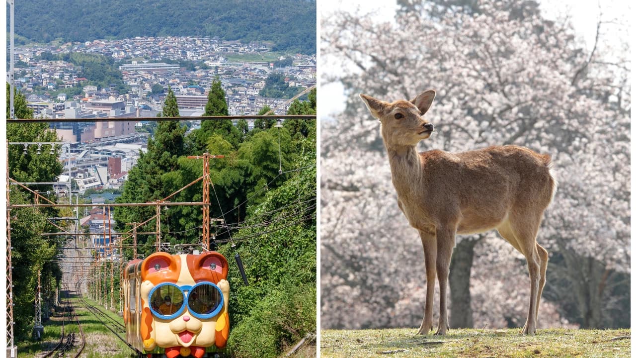 Kintetsu Rail Pass - Train & Bus Pass in Osaka, Nara, Kyoto, Mie (Ise Shima), Nagoya