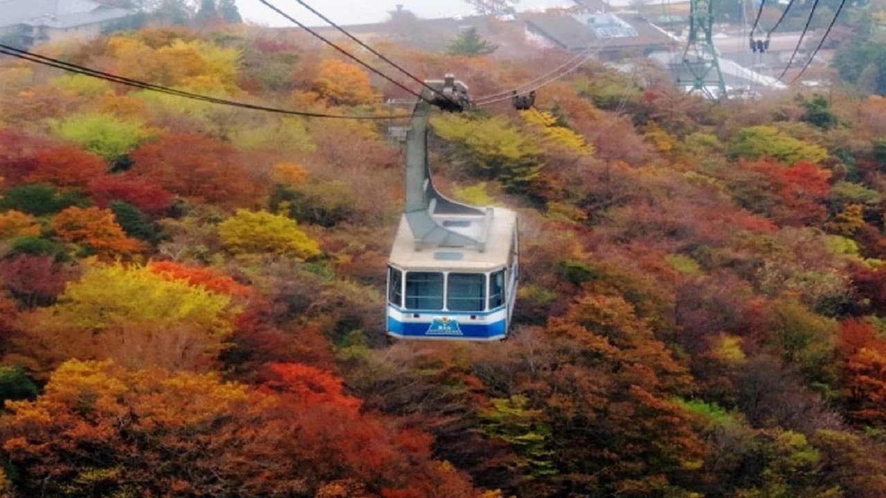 Mount Fuji and Hakone Tour - Photo 4